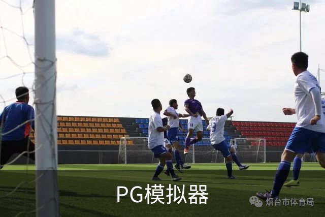 PG模拟器公司简介